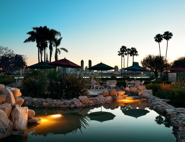 san-diego-dawn-early-morning-with-palm-tree-silhouette-min